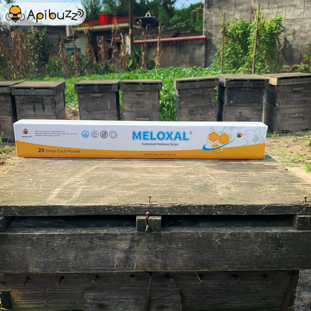 Полоски с высокой дозой щавелевой кислоты MELOXAL