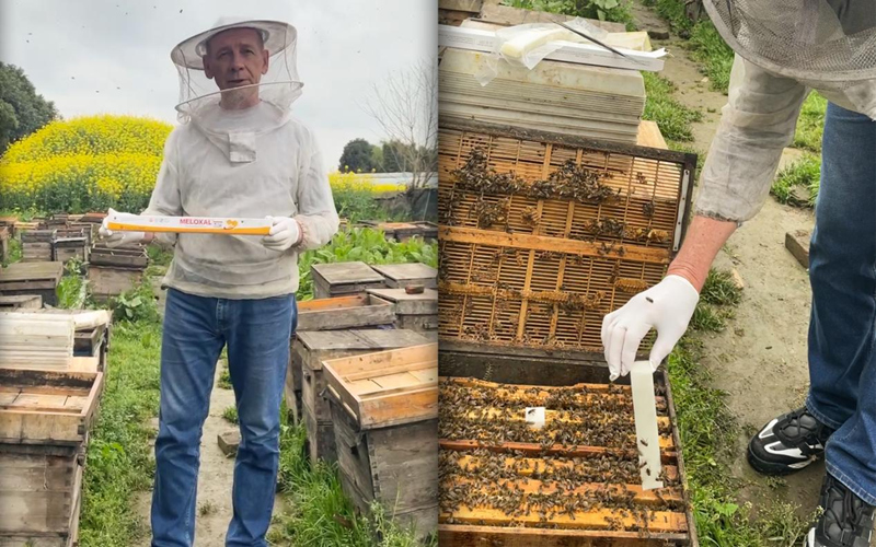 Российский дистрибьютор Виктор Посетил APIBUZZ По поводу товаров для пчел Российский дистрибьютор Виктор посетил APIBUZZ По поводу товаров для пчел