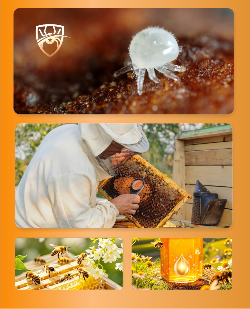 Аэрозоль с муравьиной кислотой BEE-AMOR для пчел Аэрозоль с муравьиной кислотой BEE-AMOR для пчел