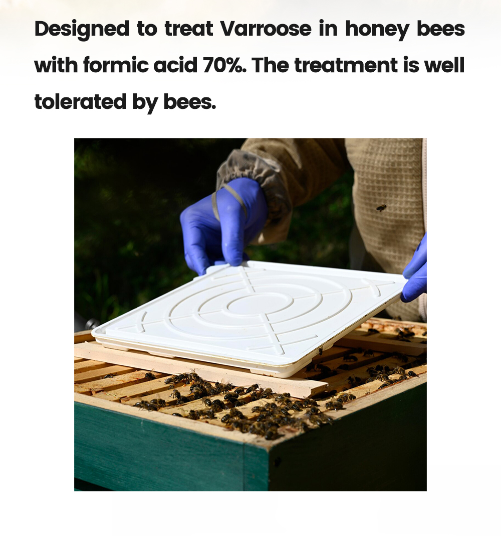 Семейный диспенсер Семейный диспенсер